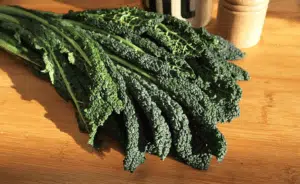 Scopri di più sull'articolo Coltivare il Cavolo Nero